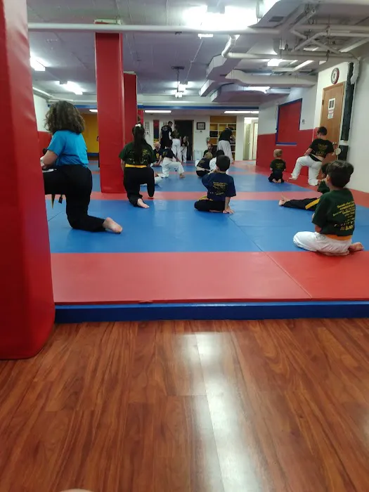 AKF Martial Arts Picture 2