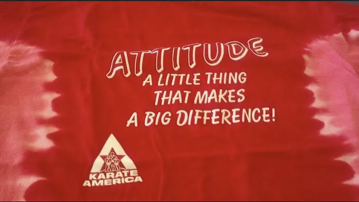 Karate America Janesville - Martial Arts: Janesville & Milton Area /Build Confidence /Learn Respect /Character/ Self-Defense Picture 10