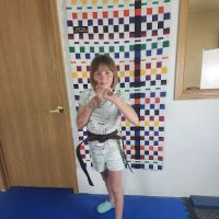 Martial Arts America ico