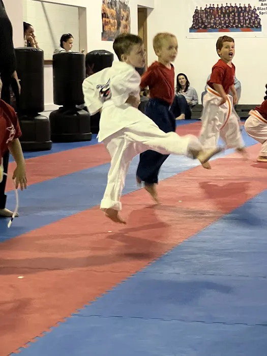 Martial Arts America Picture 4