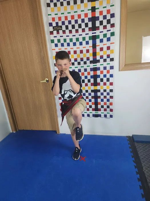 Martial Arts America Picture 2