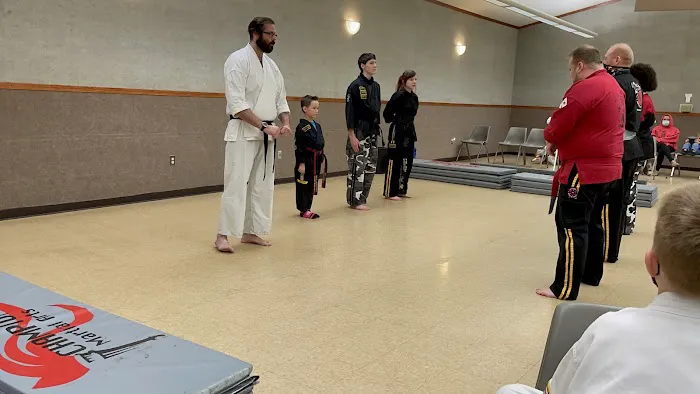 Kicks Champion Martial Arts Institute Picture 4