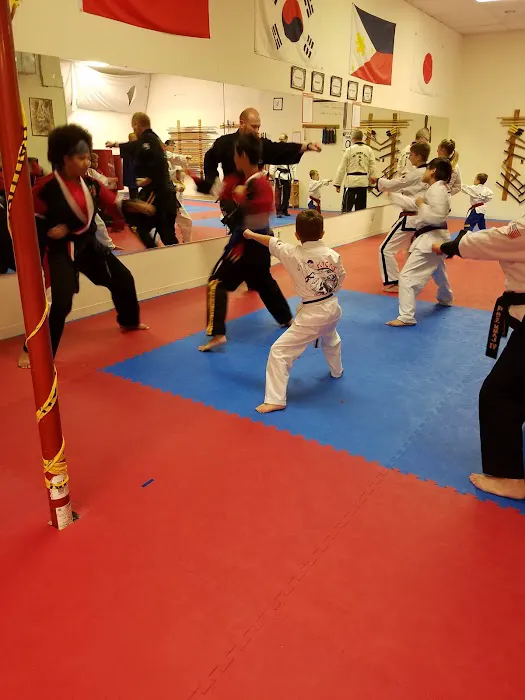 Kicks Champion Martial Arts Institute Picture 9
