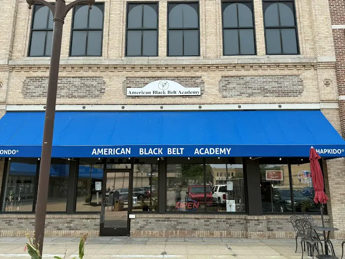 American Black Belt Academy Picture 5