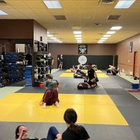 Impact Martial Arts ico