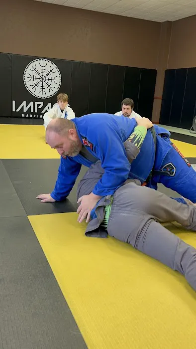 Impact Martial Arts Picture 6