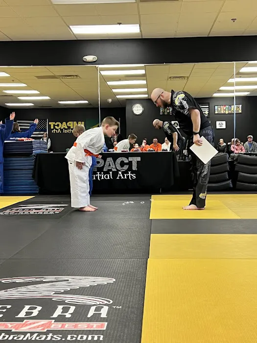 Impact Martial Arts Picture 8