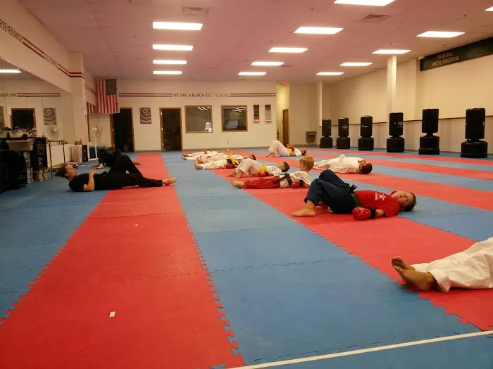 Martial Arts America Picture 6