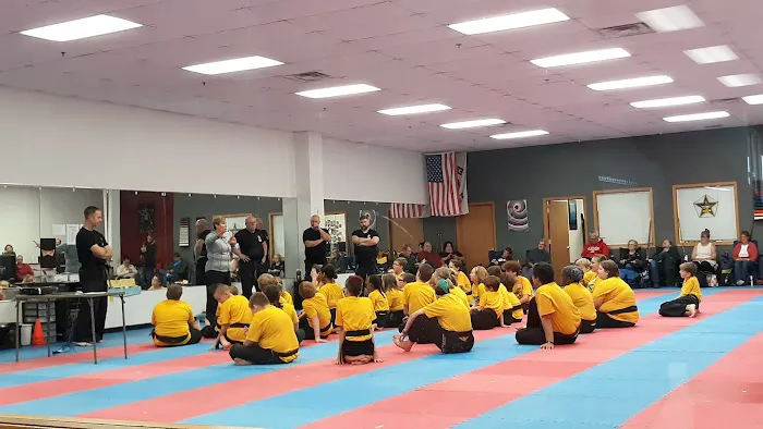 Martial Arts America Picture 2