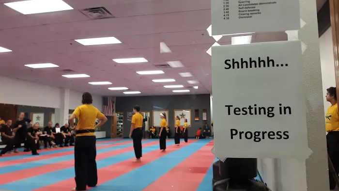 Martial Arts America Picture 1