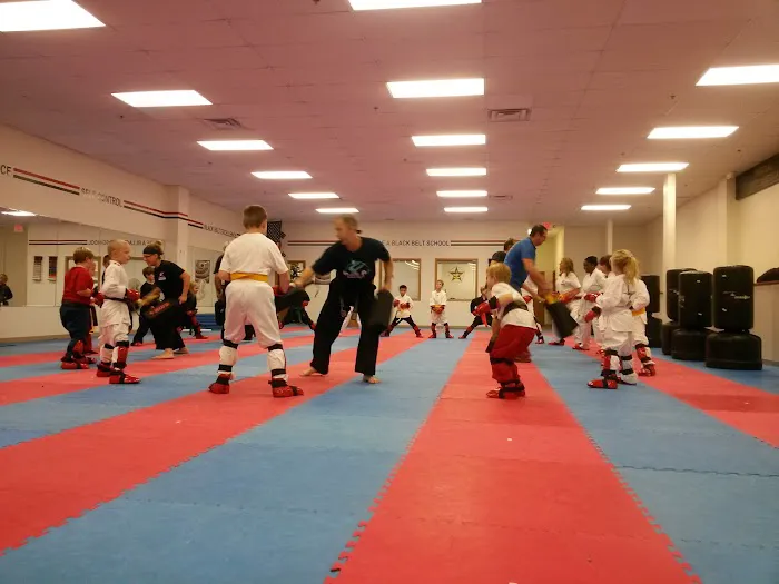 Martial Arts America Picture 4