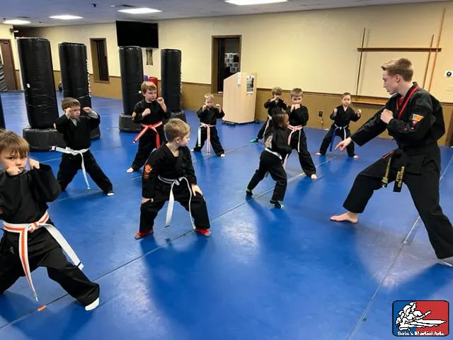 Soto's Martial Arts Academy Picture 5