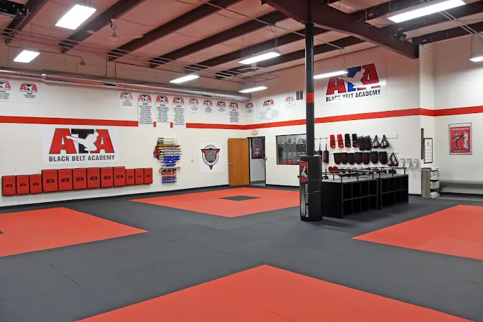ATA Black Belt Academy & Karate For Kids Picture 7