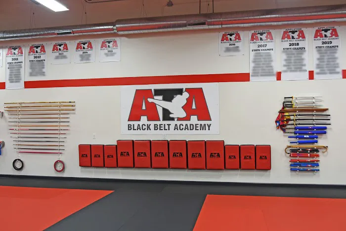 ATA Black Belt Academy & Karate For Kids Picture 5
