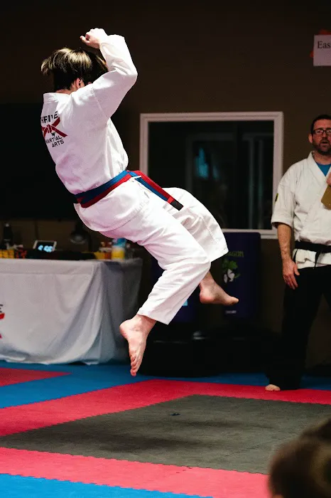 Thrive Martial Arts Picture 2