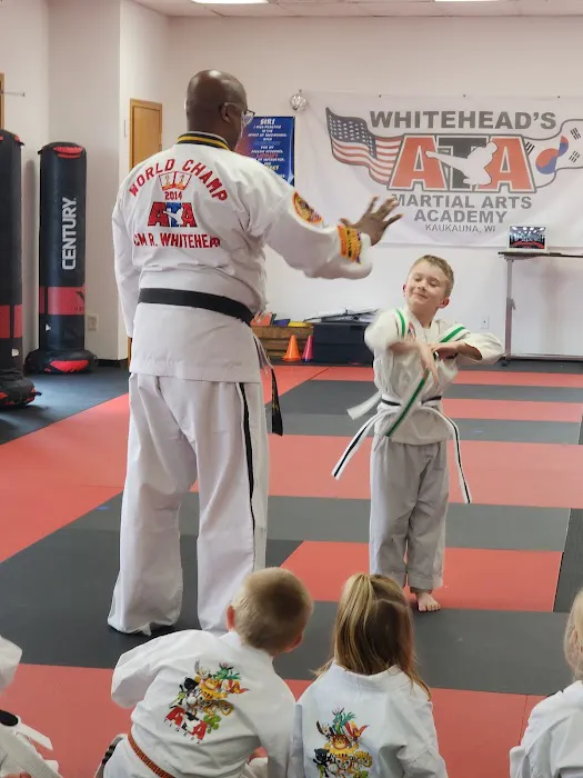 Whitehead's Martial Arts Picture 3