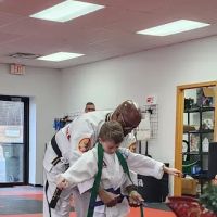 Whitehead's Martial Arts ico