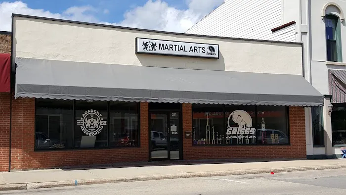 Academy Martial Arts Picture 1