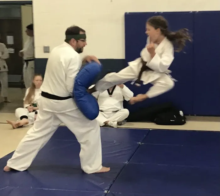 Kim's Tae Kwon Do Center Picture 3