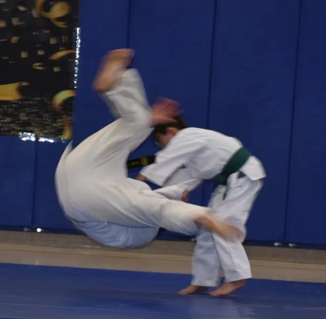 Kim's Tae Kwon Do Center Picture 2