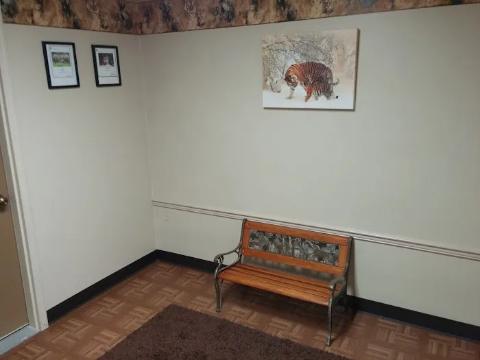 Lakeshore Tae Kwon Do, LLC-Manitowoc Picture 3