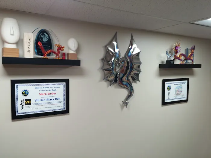 Lakeshore Tae Kwon Do, LLC-Manitowoc Picture 5