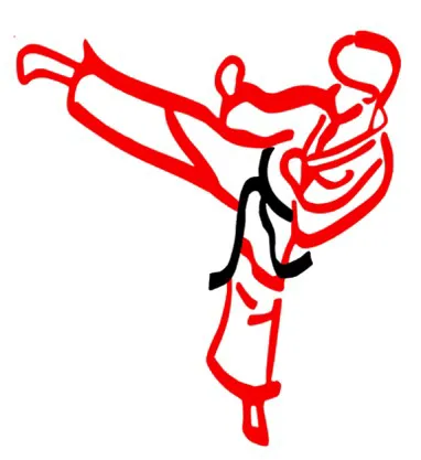 Williams Taekwondo Picture 4