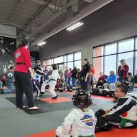 Championship Martial Arts ico