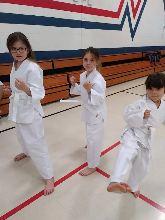 Kim's Tae Kwon DO Center Inc Picture 1