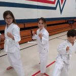 Kim's Tae Kwon DO Center Inc