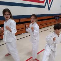 Kim's Tae Kwon DO Center Inc ico