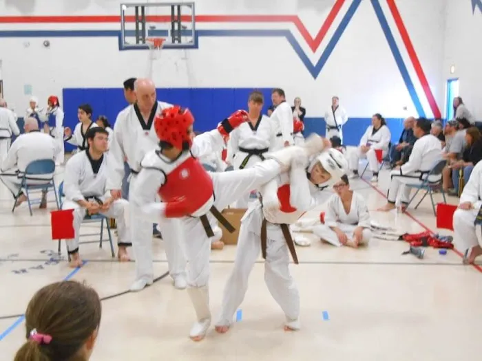 Kim's Tae Kwon DO Center Inc Picture 3