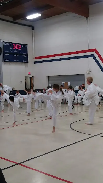 Kim's Tae Kwon DO Center Inc Picture 2
