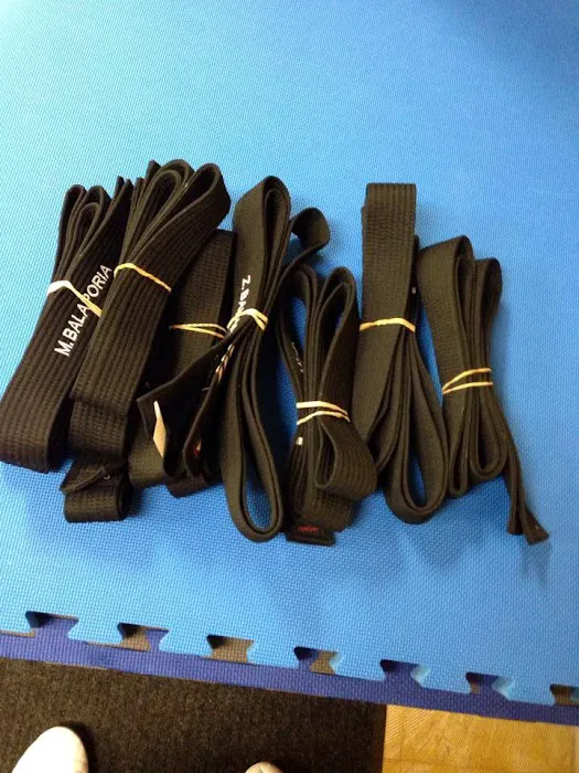 Karate USA Picture 6