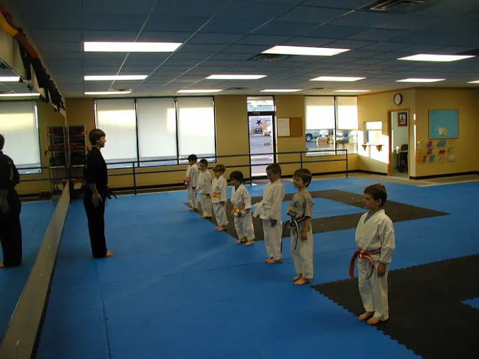 Karate USA Picture 2