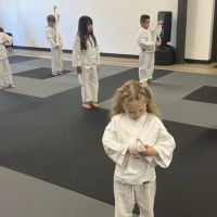 Elevate Martial Arts ico