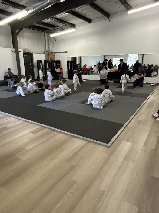 Elevate Martial Arts Picture 3
