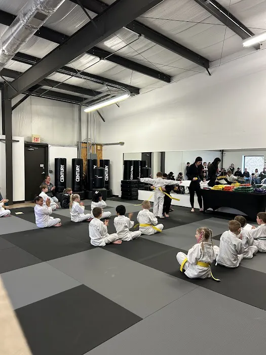 Elevate Martial Arts Picture 2