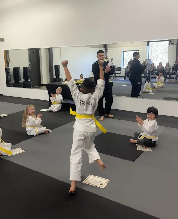 Elevate Martial Arts Picture 9