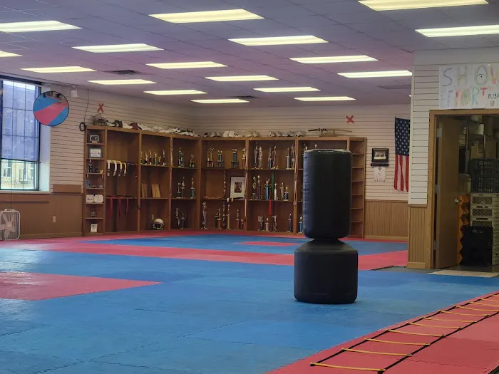 Marissa's Martial Arts, LLC Picture 1
