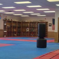 Marissa's Martial Arts, LLC ico