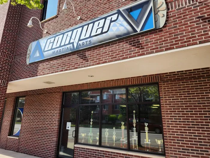 Conquer Martial Arts Picture 1