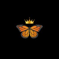 Monarch Martial Arts Academy ico