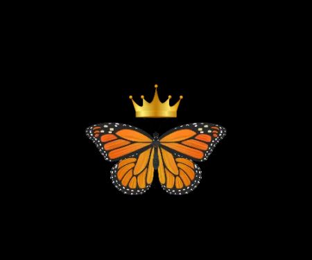 Monarch Martial Arts Academy