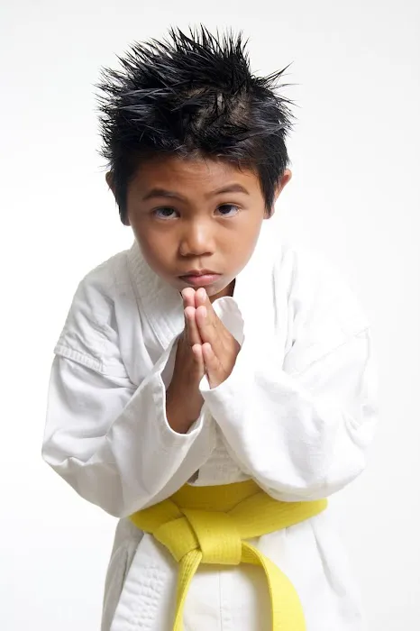 Karate America De Pere Inc Picture 3