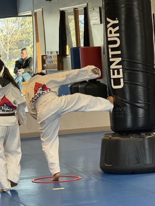 Karate America De Pere Inc Picture 7