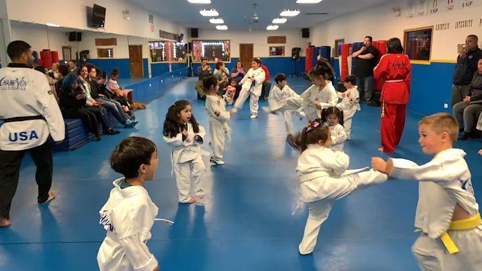 Champyon Taekwondo USA Inc. Picture 1
