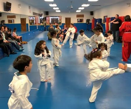 Champyon Taekwondo USA Inc.