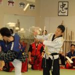 Ko's Yong In Martial Arts | Master Ko Martial Arts
