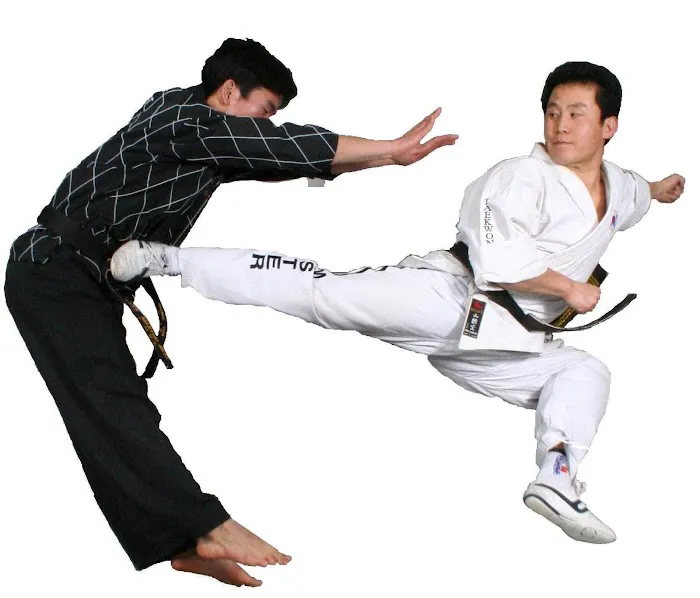 Ko's Yong In Martial Arts | Master Ko Martial Arts Picture 8